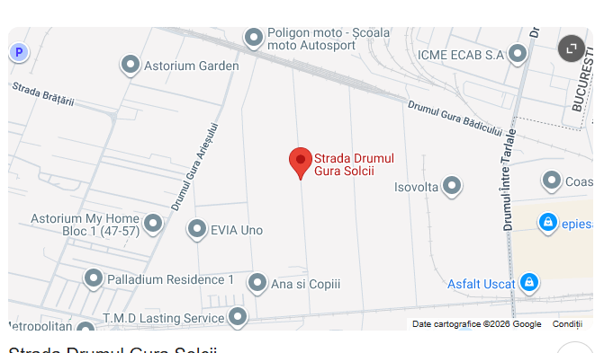 Theodor Pallady, Drum Gura Solcii,